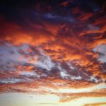 dscn4081