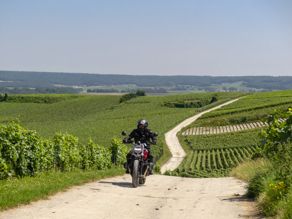 BMW R nineT Scrambler (Champagne)